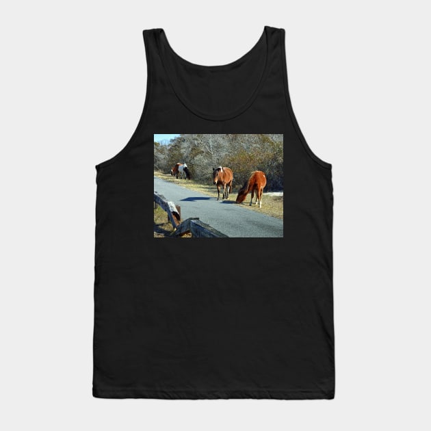 Assateague Ponies Say the Grass is Greener Tank Top by Swartwout